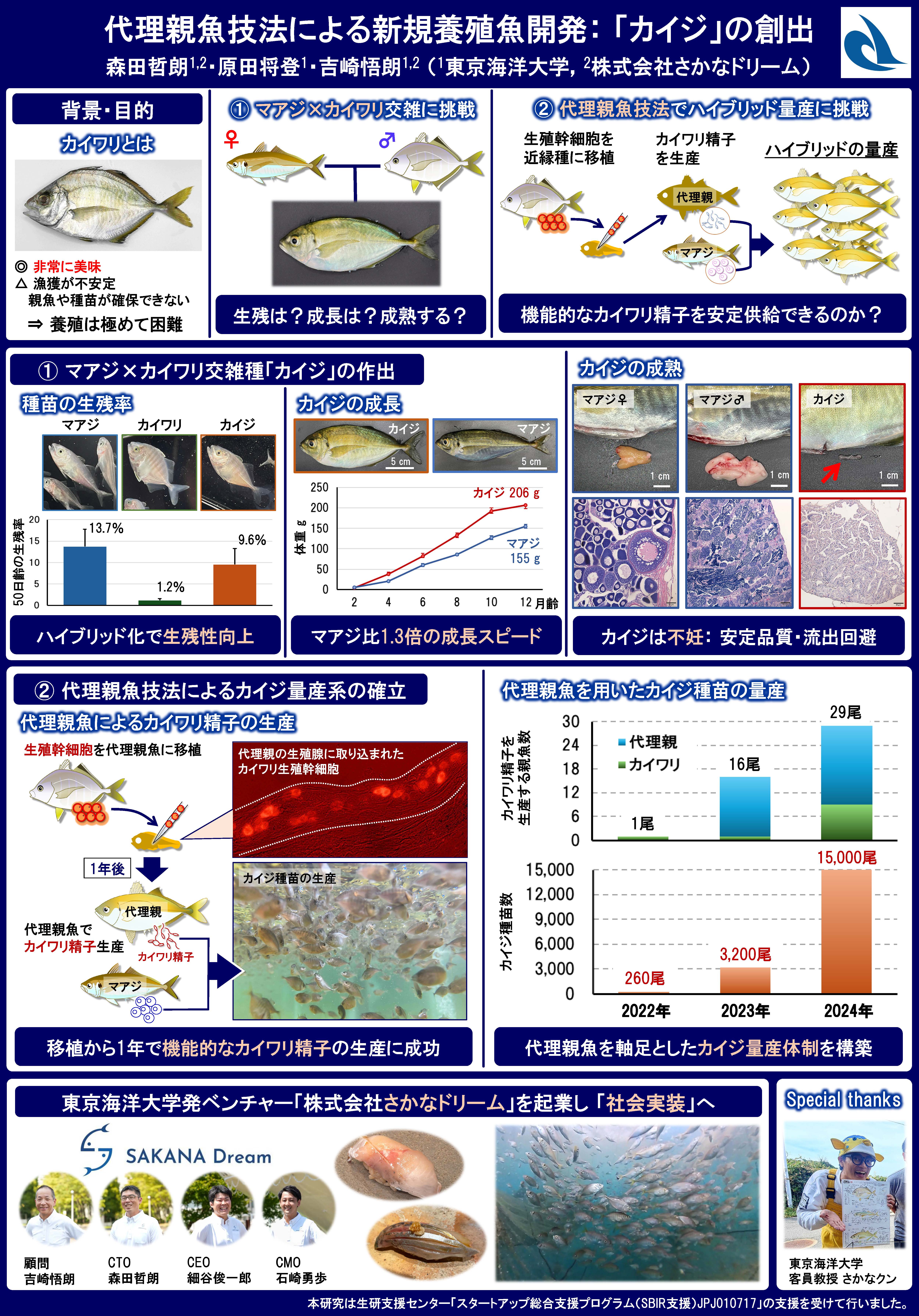 代理親魚技法による新規養殖魚開発：「カイジ」の創出